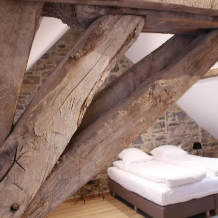 Prázdninový dům Maisons De Le Vieux Marronnier