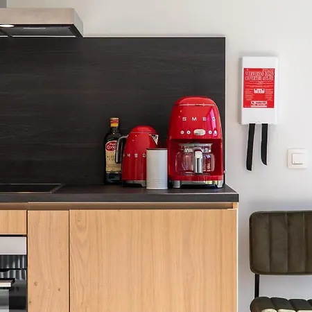 Maisons De Le Vieux Marronnier * Dinant