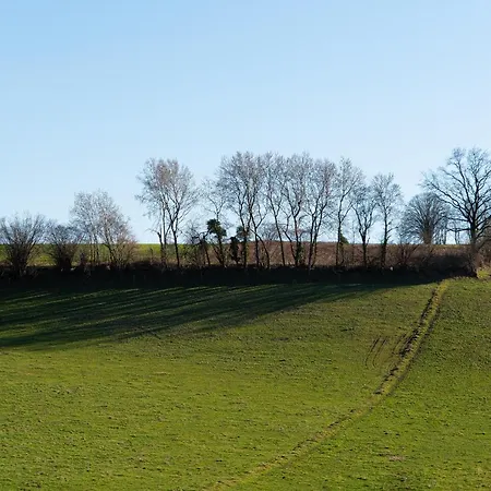 Holiday home Maisons De Le Vieux Marronnier *