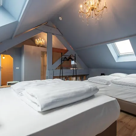 Maisons De Le Vieux Marronnier *