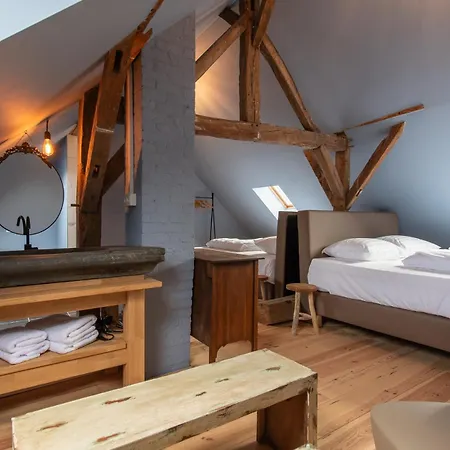 別荘 Maisons De Le Vieux Marronnier ディナン